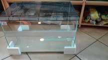 Akwaterrarium dla żółwia wodnego