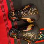 Luvas Boxe Venum Elite Pro