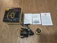 Ryobi Artica 5000 W-wa