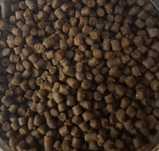 Ração Afundante Peixes água fria probiótica
