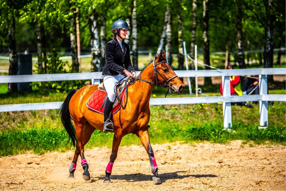 Klacz grupy D do sportu i rekreacji! Super kucyk na zawody