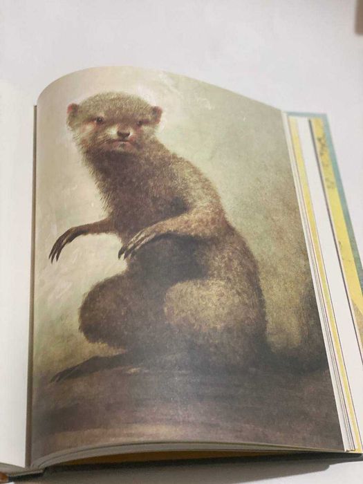 Книга джунглей, подарочное издание Киплинга