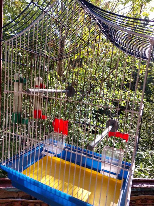 Две клетки для попугая: большая и маленькая