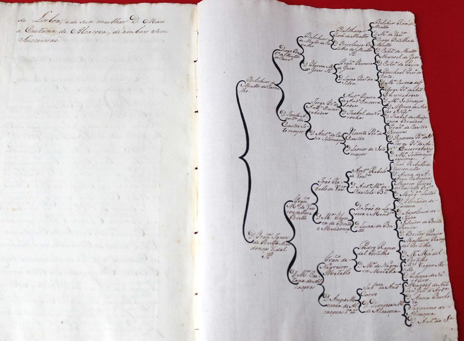 Comendadores de S. Pedro de Sarracenos Bragança 1768 apelido Matos