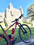 Bicicleta BTT 29 Specialized Epic 2020