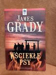 James Grady „Wsciekłe psy” , polecam .