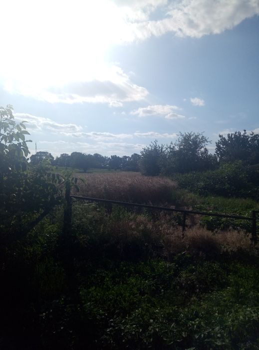 Продам дом в Нововодолажском районе  с Просяное