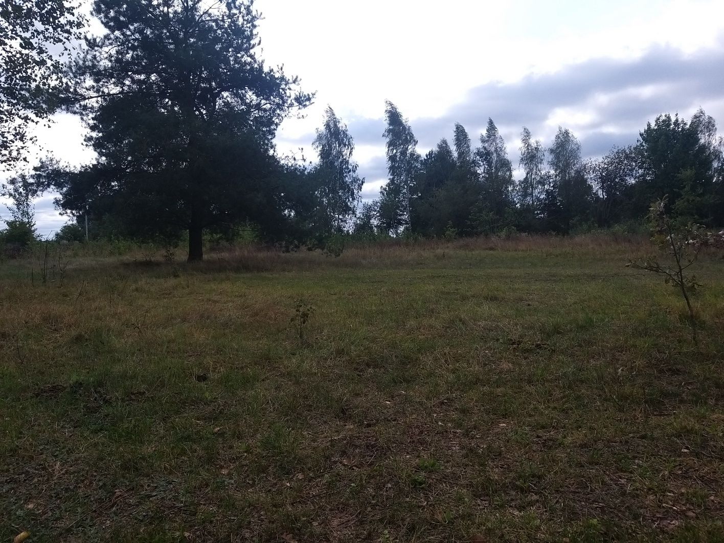 Działka 2200m gm Jedlińsk