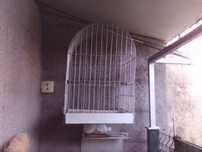 Gaiolas para ceder