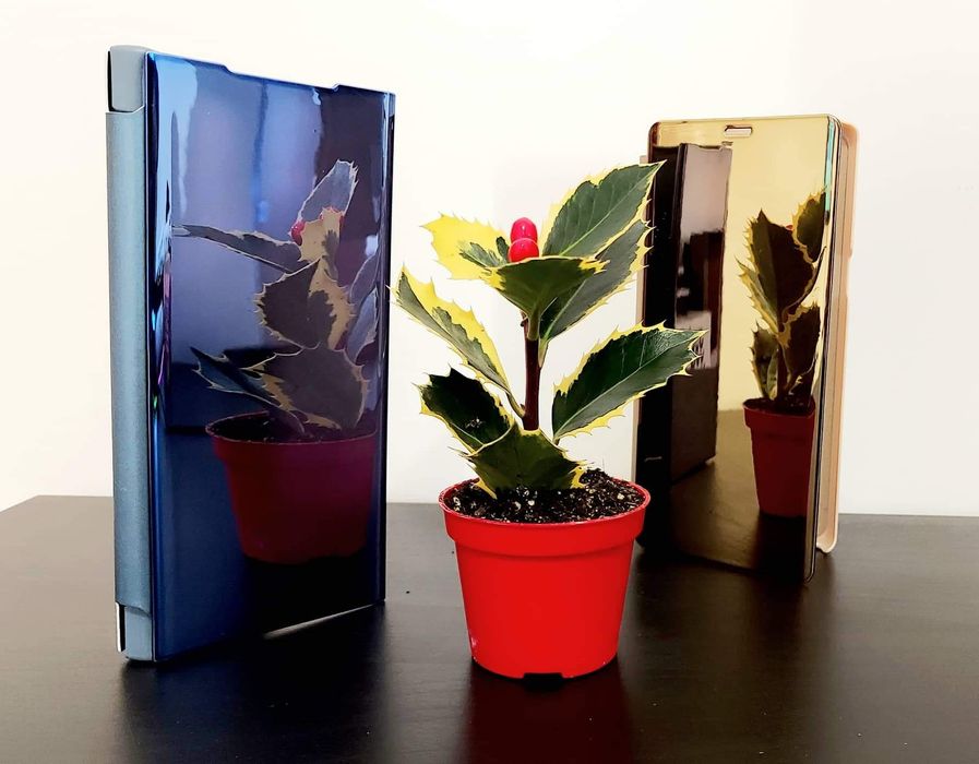 Capa tipo livro espelhada disponível para vários modelos de telemóvel