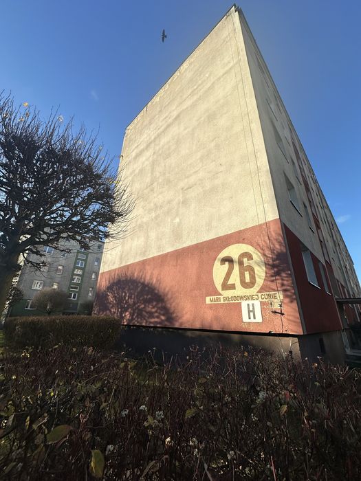 Mieszkanie do wynajecia