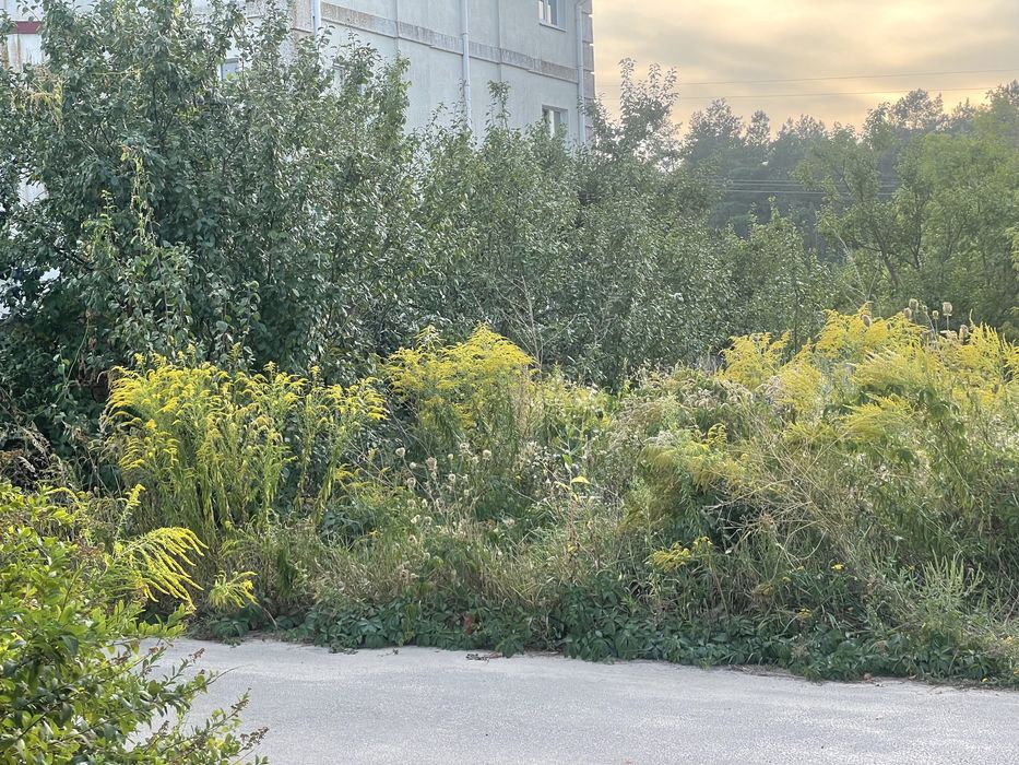 ЩАСЛИВЕ Продається Пейзажна Ділянка 15 соток вул. Соснова 70000$