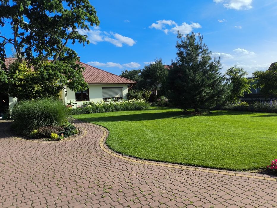 Usługi minikoparką 1,2 tony , wynajem,  roboty ziemne