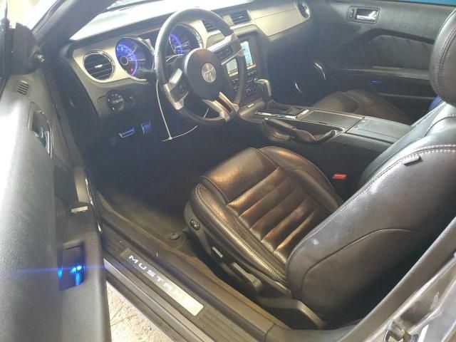Ford Mustang 2013 3,7 V6 305KM Premium NAVI LED, Skóra, PDC w drodze