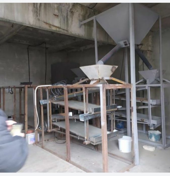 Крупорушка гречки.