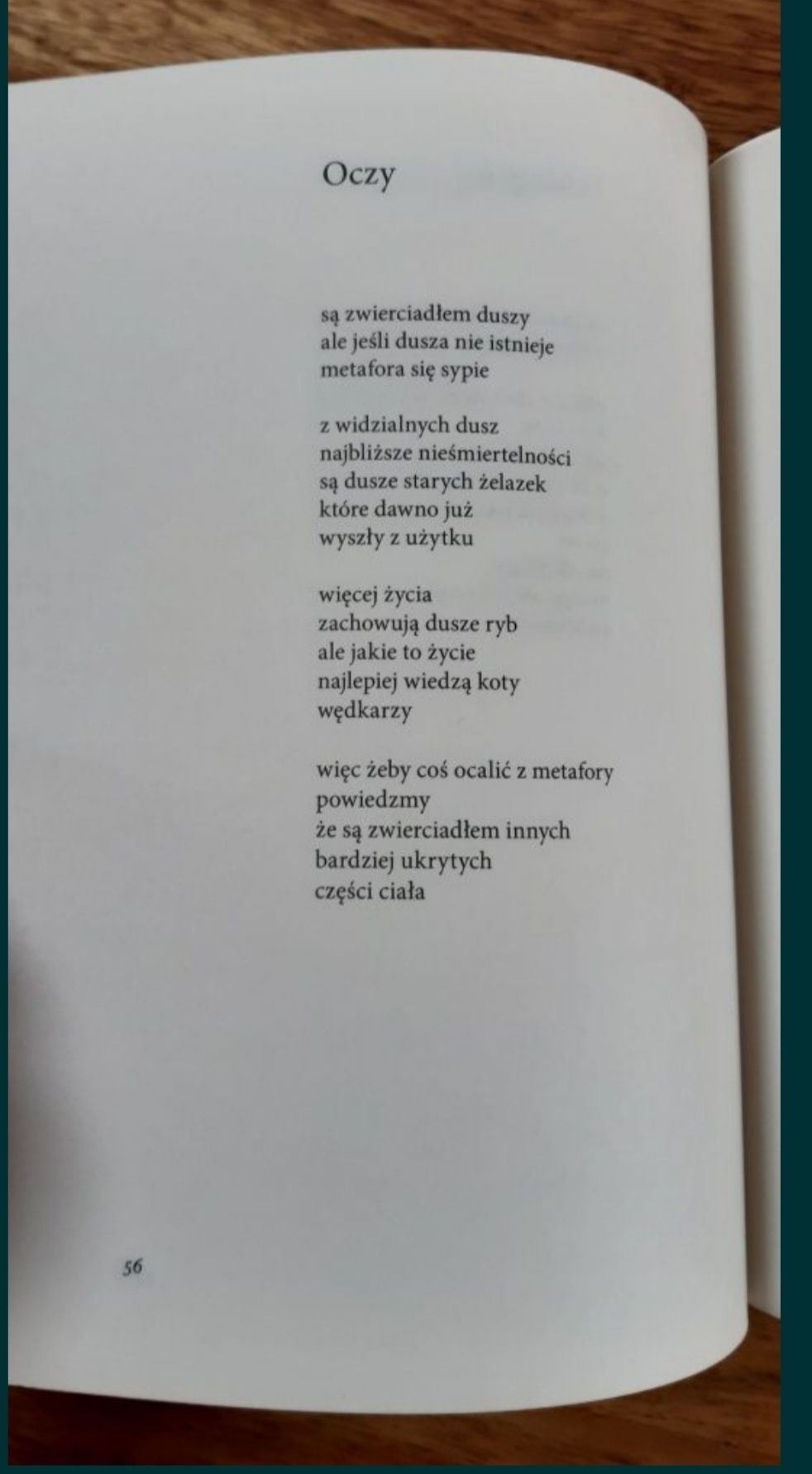 Bohdan Zadura Nocne życie