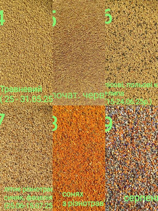 Продам квітковий пилок  2025р. 380грн.