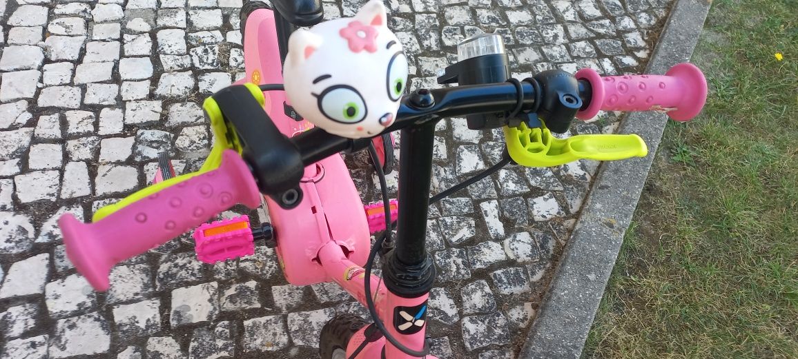 Bicicleta pneu 14