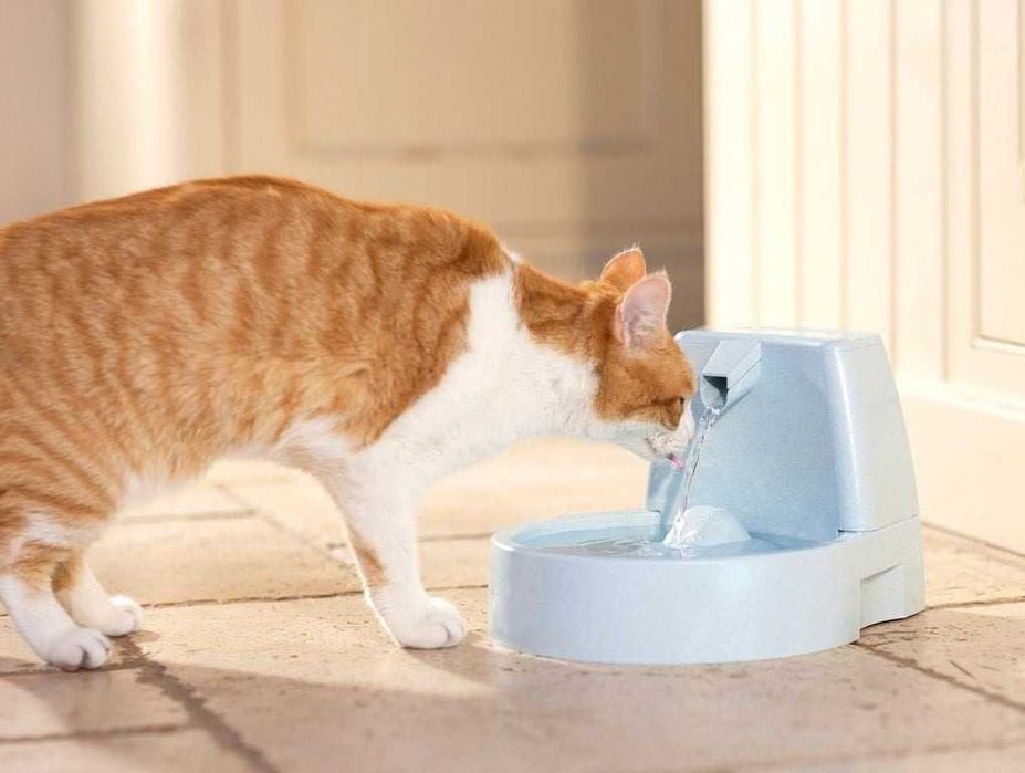 NOVO - Fonte para Gatos 1.5L DRINKWELL Original