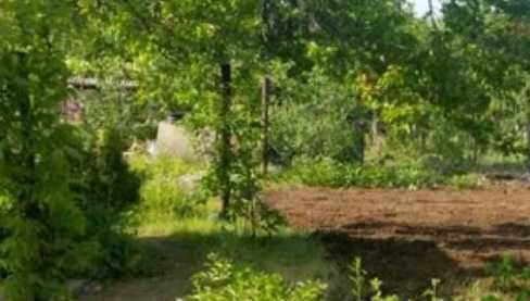 дача ближний пригород