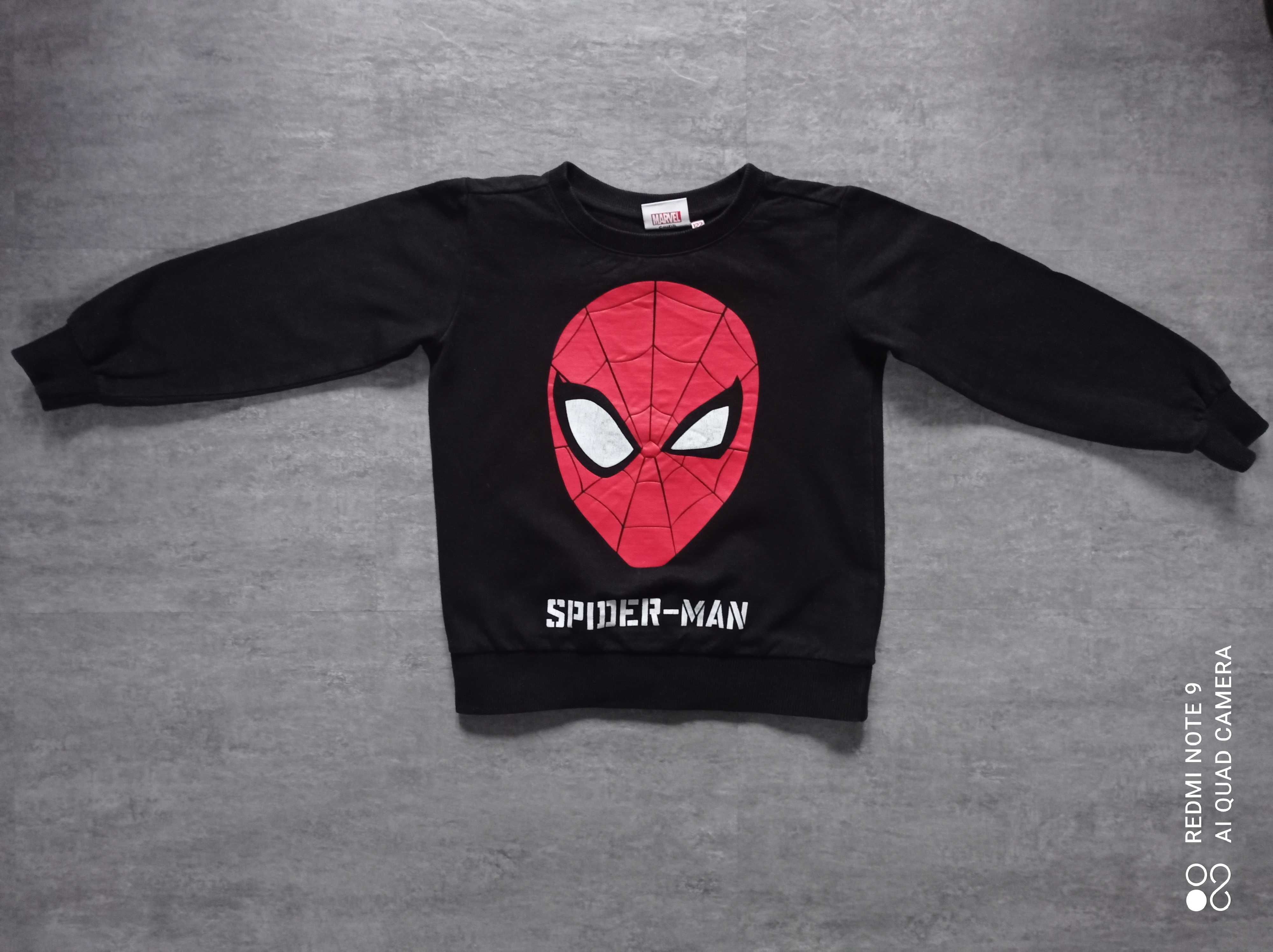 Bluza z długim rękawem Spider-Man Marvel 116/122