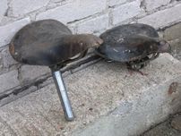 Skórzane siodełko rowerowe
