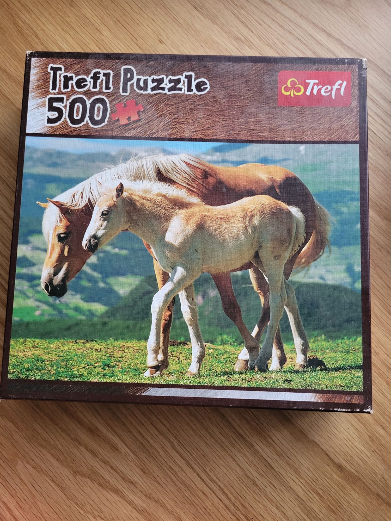 Puzzle konie miasto