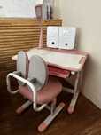 Парта зі стільцем Комплект меблів дитячий Evo-kids BD-20 PN