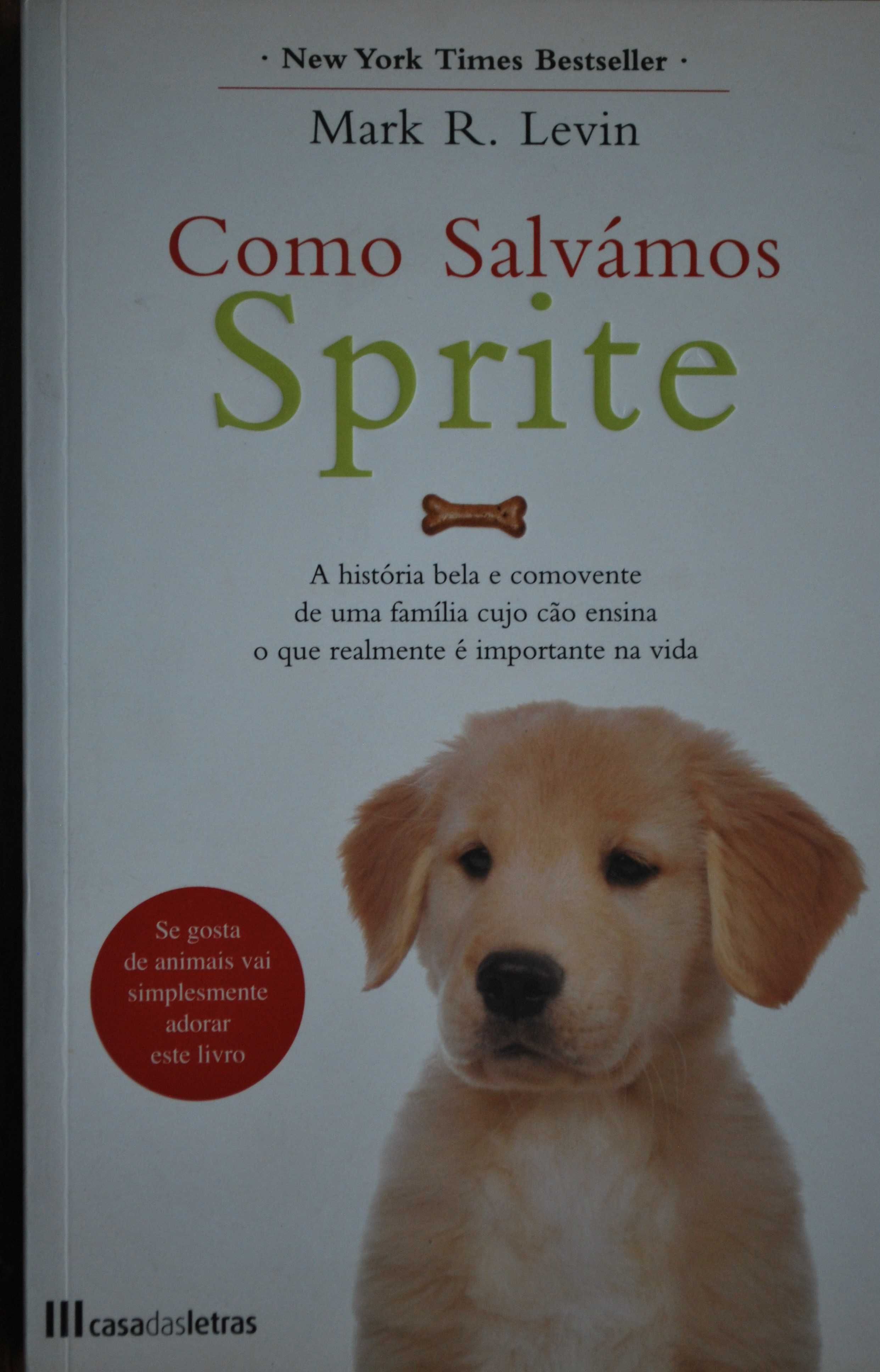 Como Salvamos Sprite de Mark R. Levin