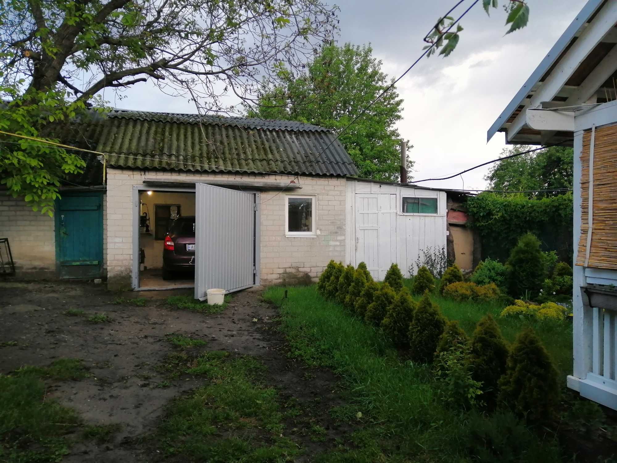 Дім на пагорбі з туями