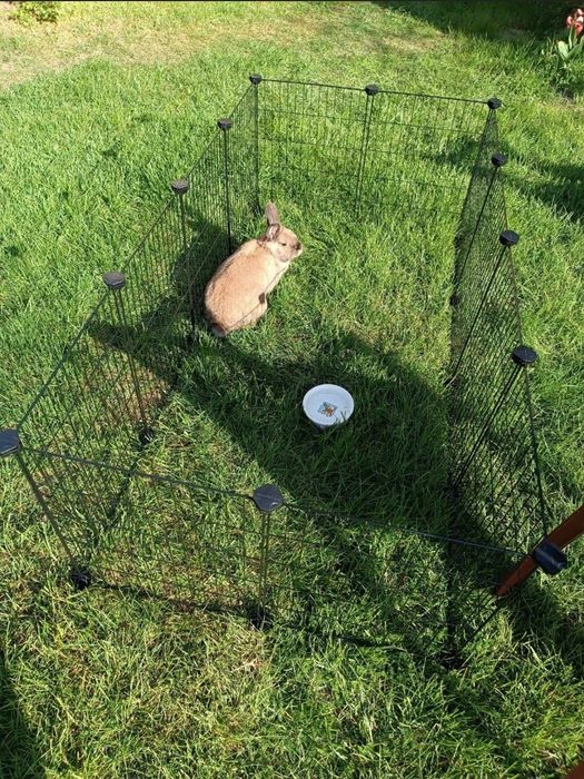 Nowa zagroda kojec klatka dla psa królika jaszczurki modułowa klatka
