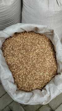 Зерно (  суміш пшениці та ячменю)
