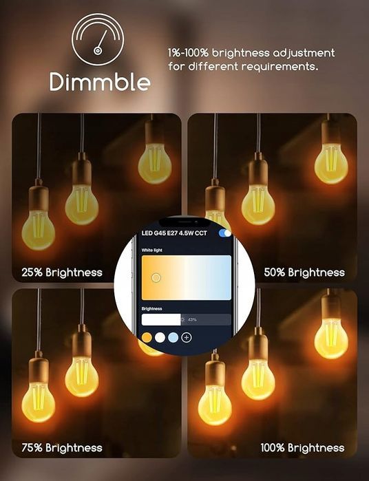 Inteligentna żarówka z żarnikiem G45 CCT (2 szt.) (WIFI+Bluebooth)