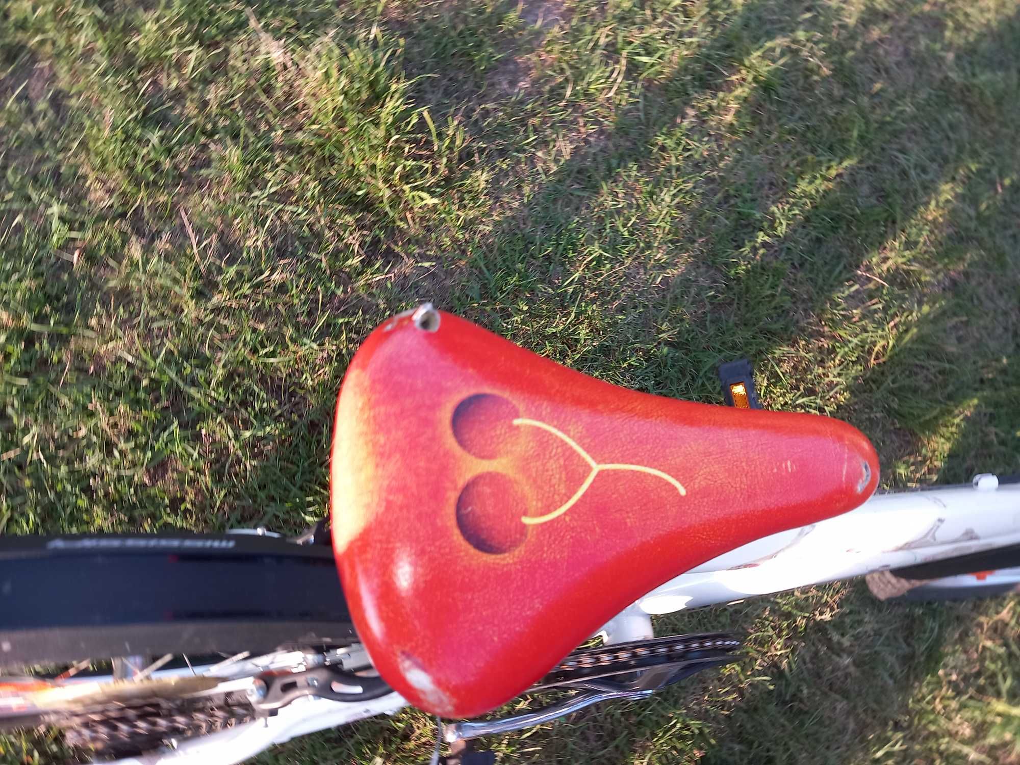 Sprzedam rower dziewczęcy 20cali