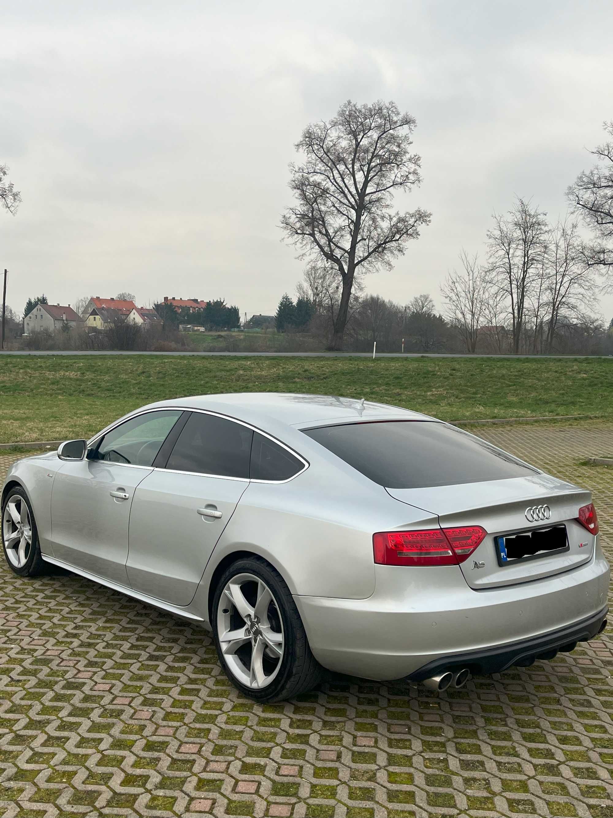 Audi A5 Sportback  2.0 TDI 170 KM 2009r. 2x S-Line