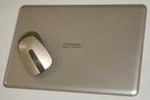 Ноутбук Asus VivoBook R209H Gold