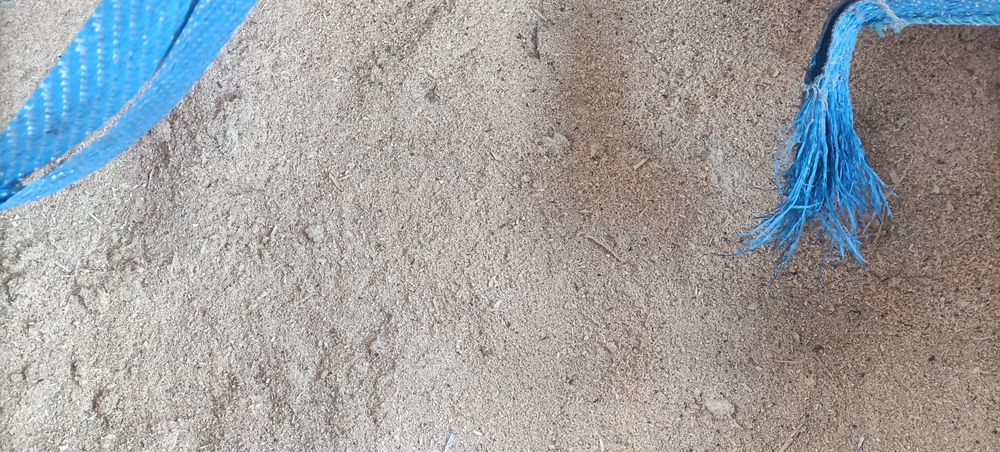 Sprzedam bigbak trociny drobnych