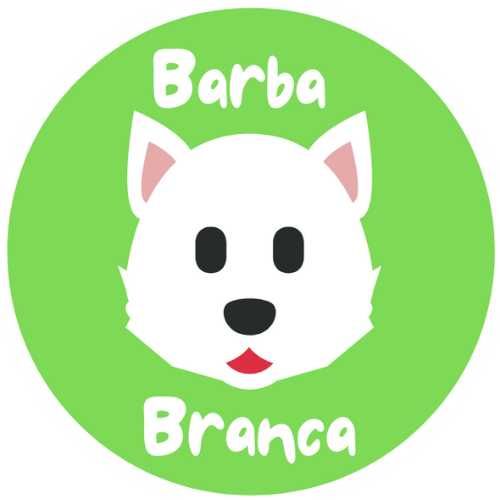 Espaço para festas e eventos - Barba Branca