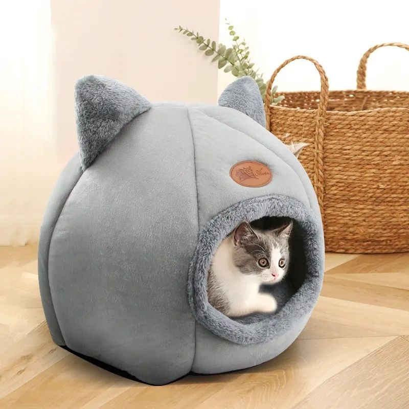 Cama para gato cão nova