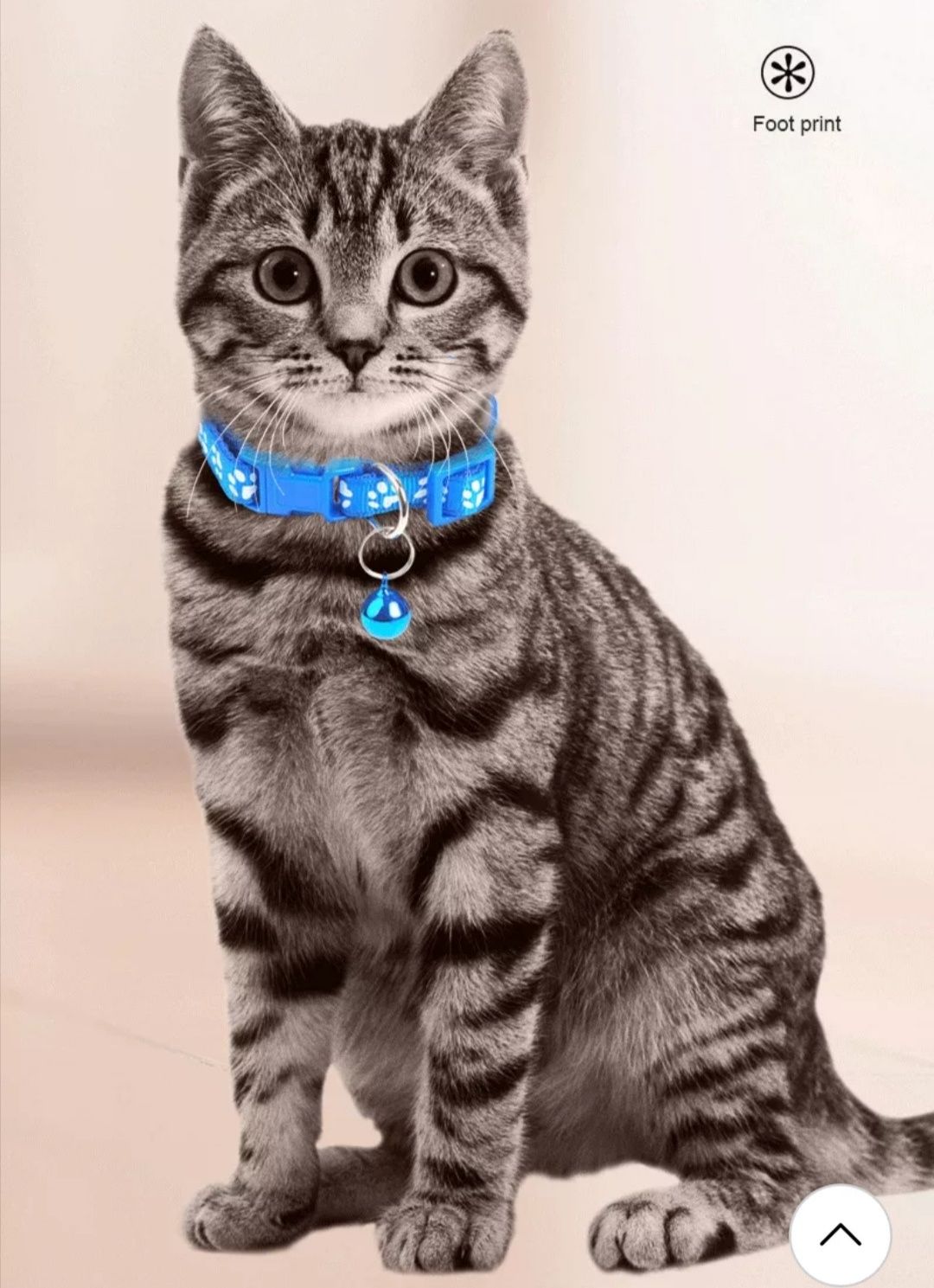 Ошийники для котика. Ошийники з світловідбивною стрічкою