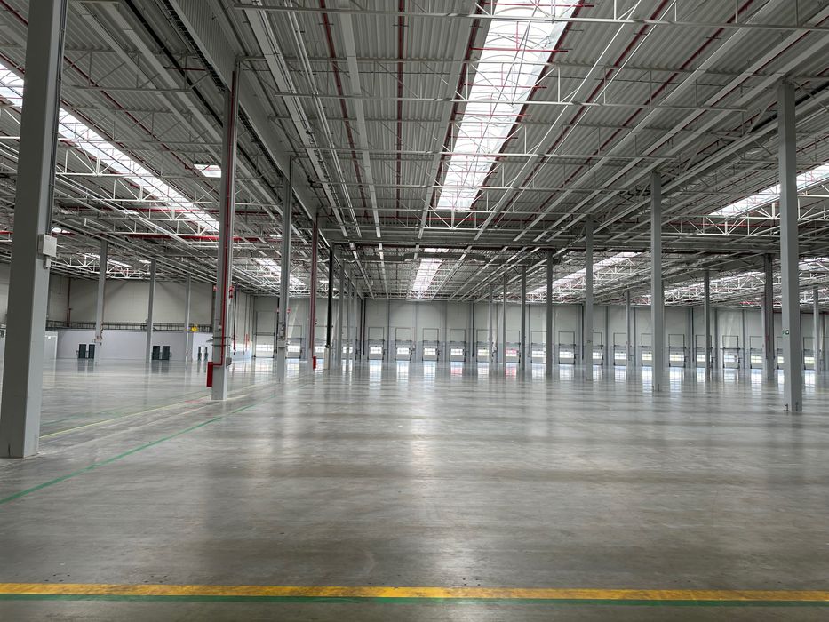 Mycie posadzki, sprzątanie garaży, magazynów, hal, klatek