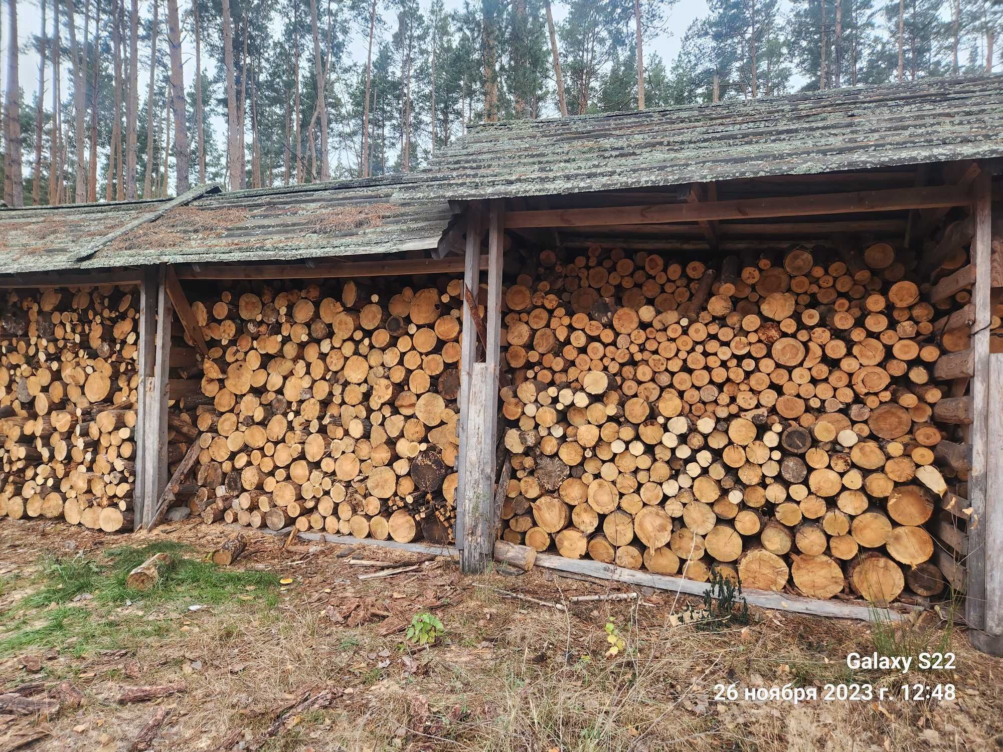 Продам дрова різного виду