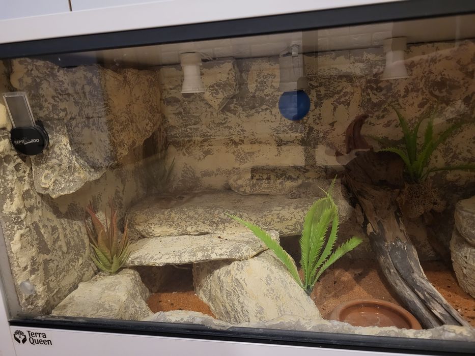 Terrarium dla gekona