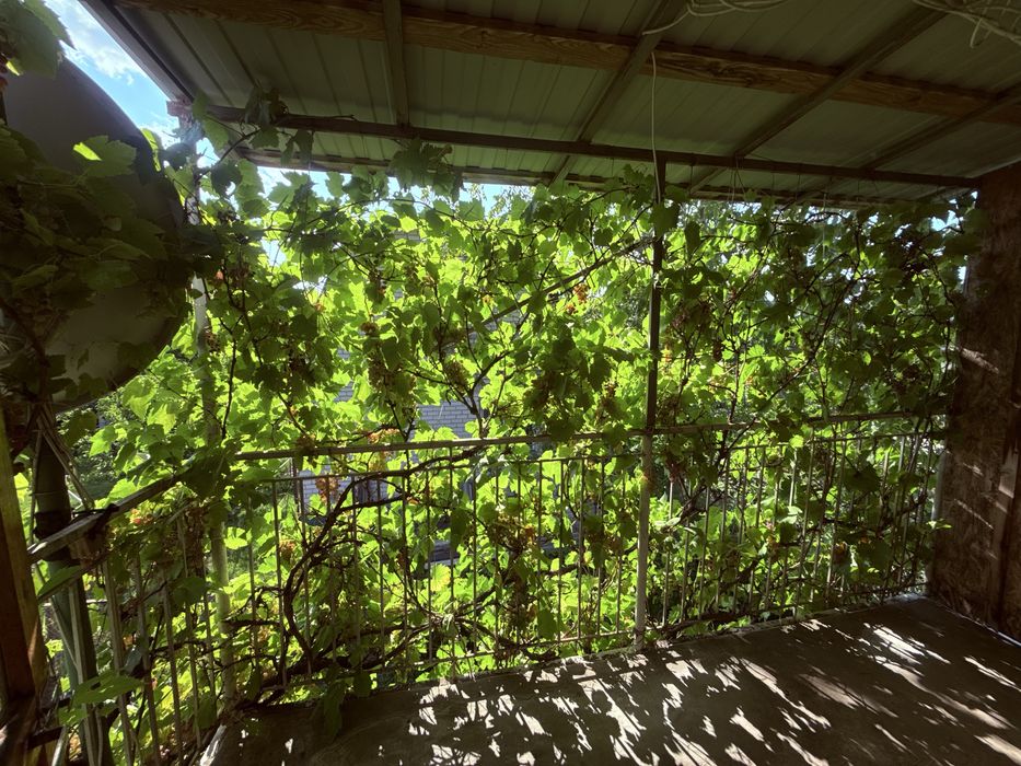 Продаж дачного будиночку в СК «Дружба»