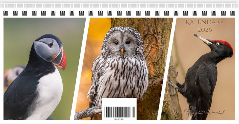 Kalendarz 2026 Ptaki biurkowy 21 x 10