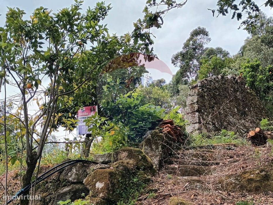 Moradia T0 para venda