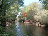 Quinta a confinar com o rio Mondego com cerca  de 14 hectares