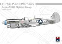 Hobby 2000 P-40N 48001 Warhawk Aces of The 49th Fighter Group 1/48