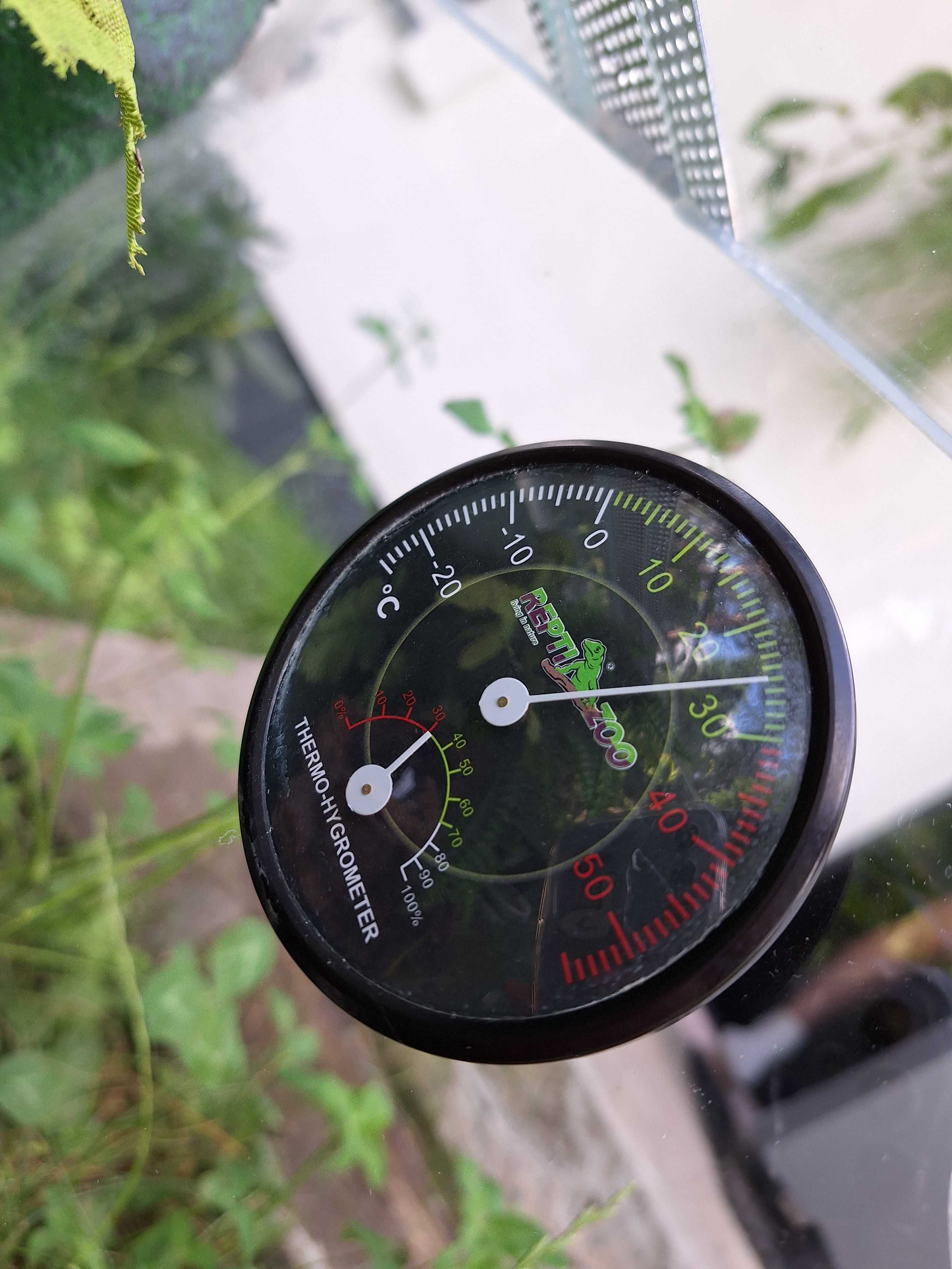 Terrarium szklane ze ścianką