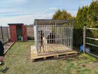 Kojec dla psa 2x2 profil ocynkowany